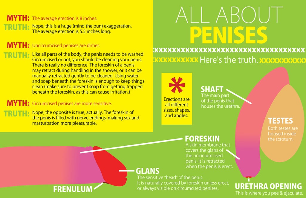 most common penis shapes
