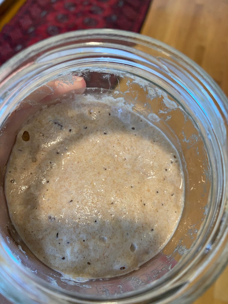 Sourdough Starter Day 16