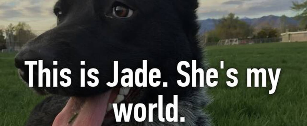 Dog-Lovers on Whisper