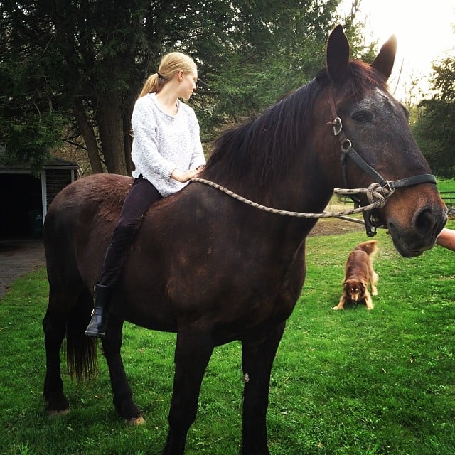 Amanda Seyfried rode a horse — and her dog, Finn, didn't like it.
Source: Instagram user mingey