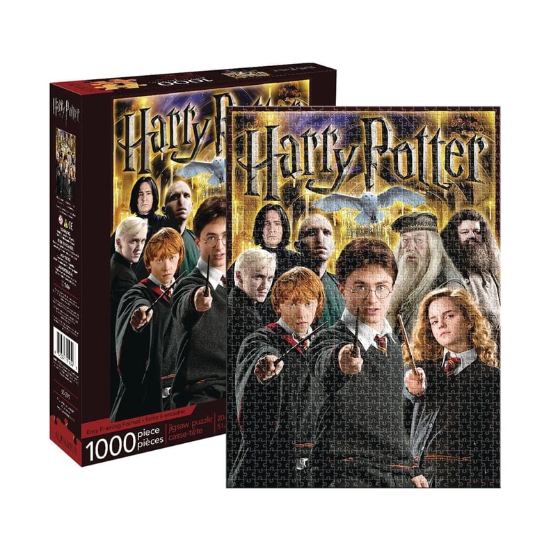 1000 pieces puzzle: Harry Potter and the wizards