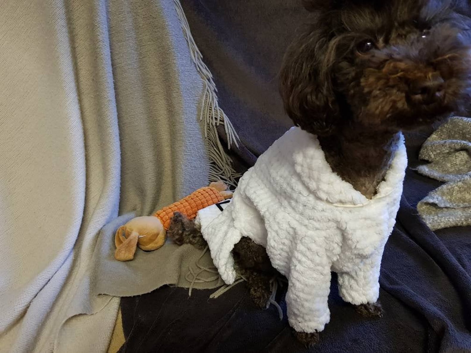 Matching Robes For Dogs and Humans on Etsy POPSUGAR Pets