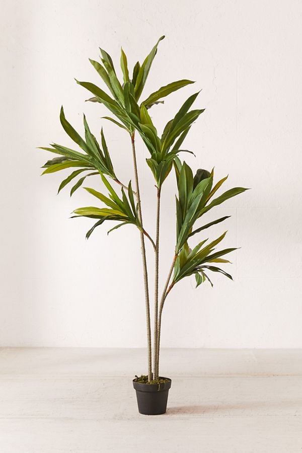 Dracena 5’ Potted Faux Tree