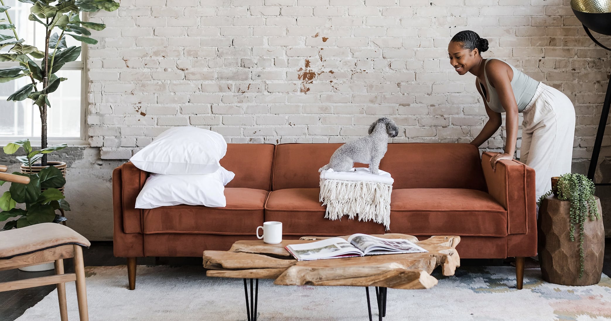 Best Sofas From Albany Park