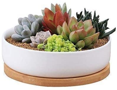 Biwen 6.3-Inch Round Ceramic White Succulent Planter