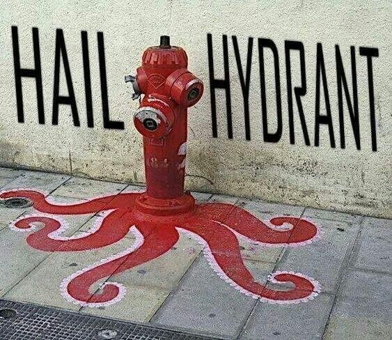 "A fire hydrant downtown."
Source: Reddit user Lazy_Narwhal via Imgur