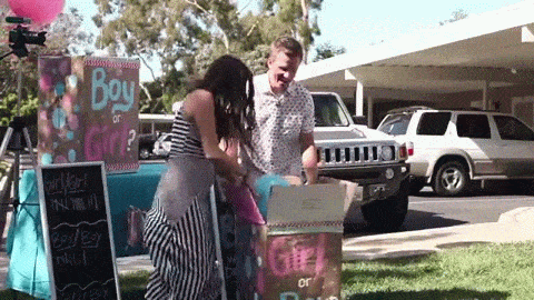 The gender reveal: