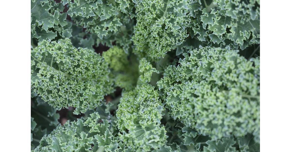 Dark Leafy Greens What Foods Contain Choline? POPSUGAR Fitness Photo 9