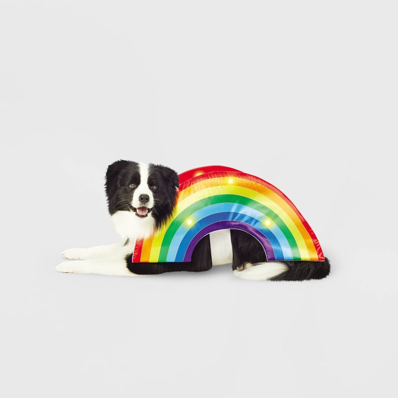 一个发光服装:海德&唷!精品LED彩虹软亮狗和猫服装