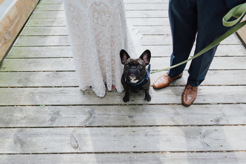 Dogs in Weddings