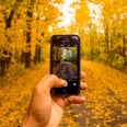 The Best Halloween Features You Can Find in Your Favorite Apps Right Now