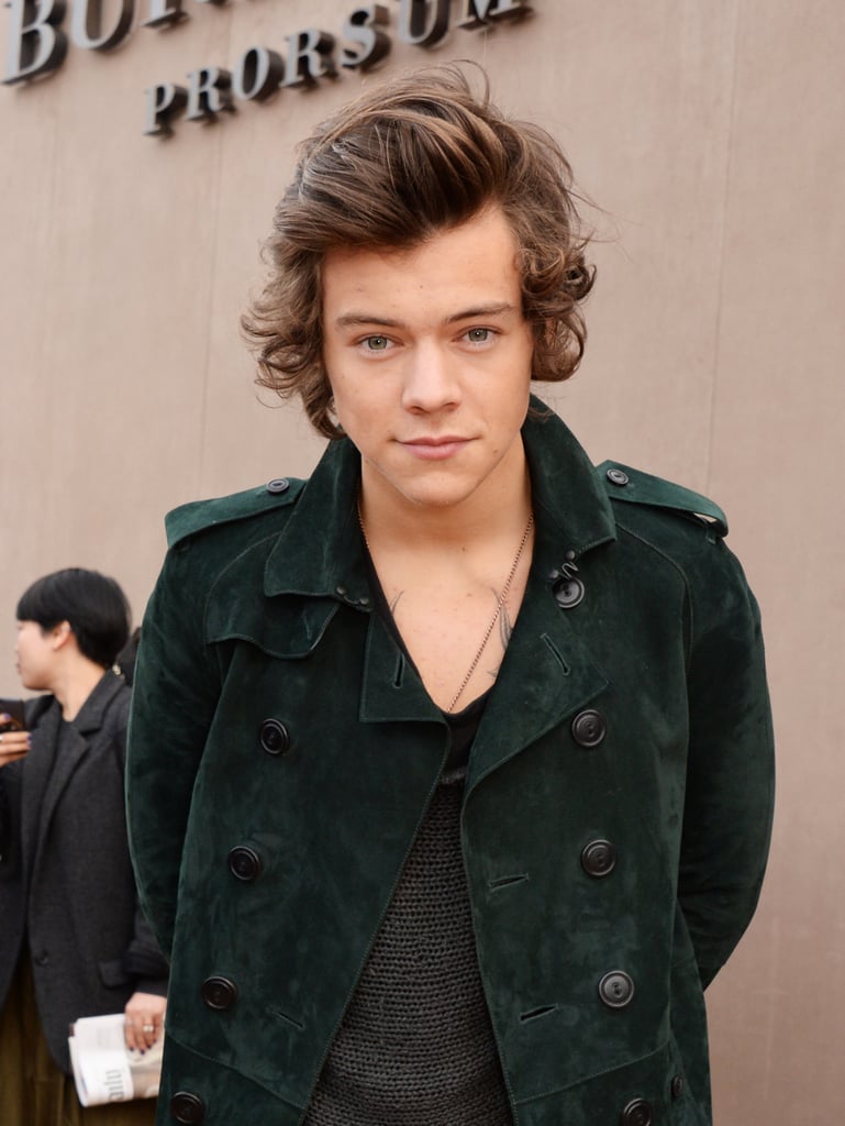 Sexy Harry Styles Pictures