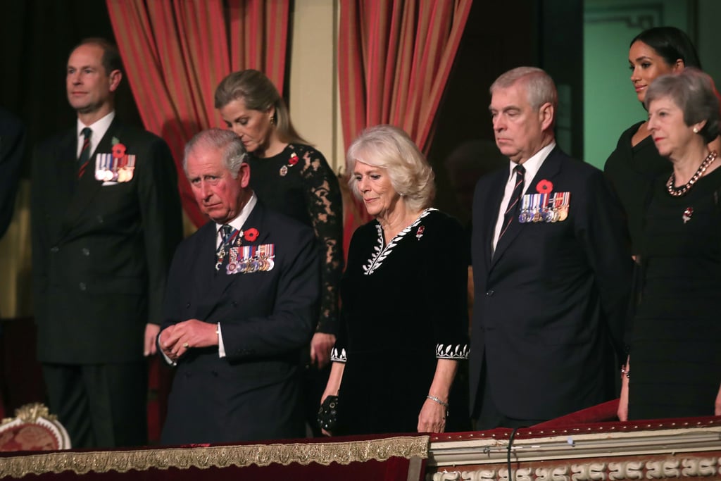 In November 2018, Harry and Meghan joined Charles and the rest of the royal family at a Remembrance Day service.