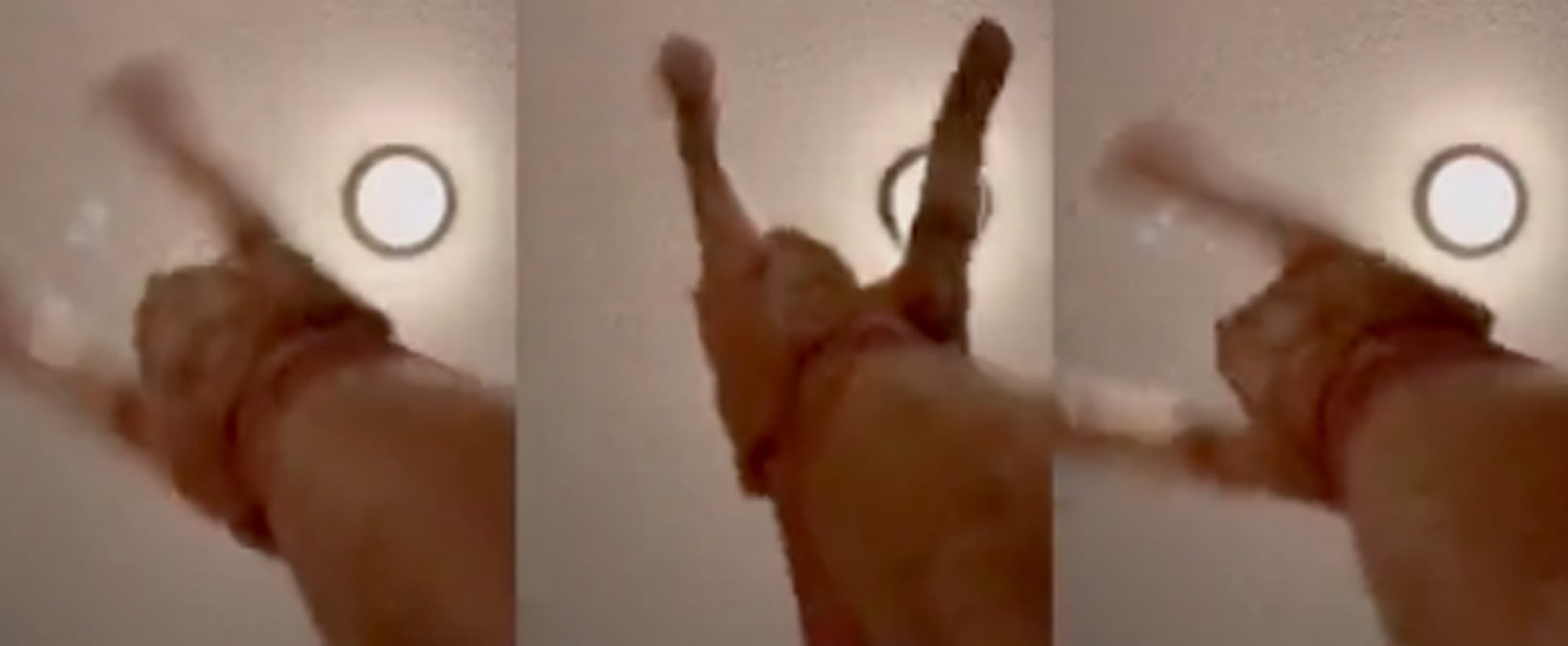 Viral Mr Sandman Cat Video On Tik Tok Popsugar Pets