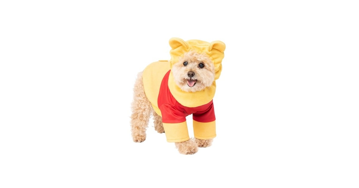 Winnie the Pooh Dog Costume | Best Costumes For Dogs | POPSUGAR Pets