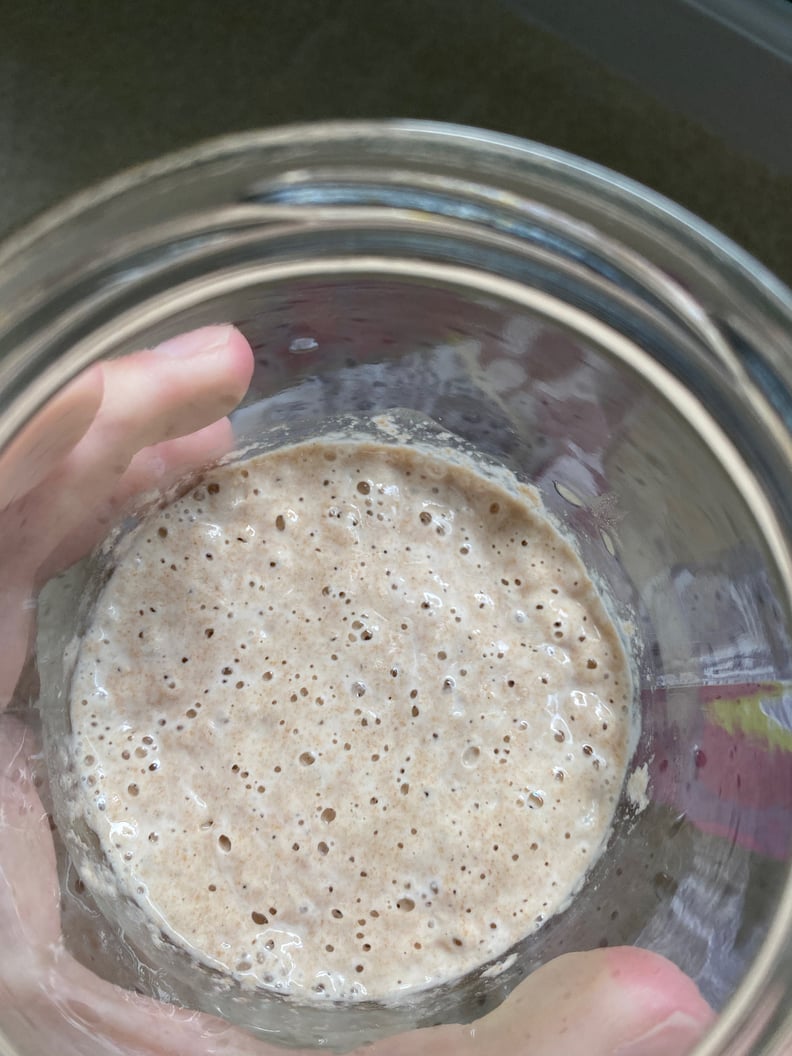 Sourdough Starter Day 15