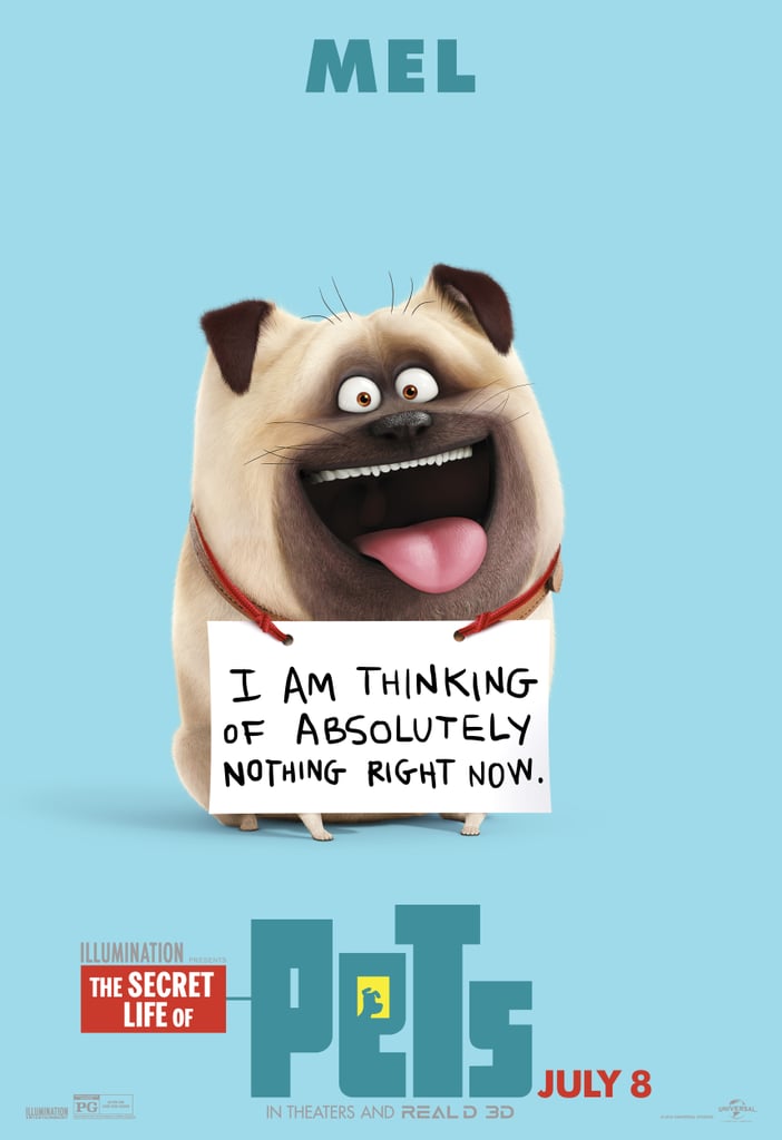 The Secret Life of Pets Character Posters
