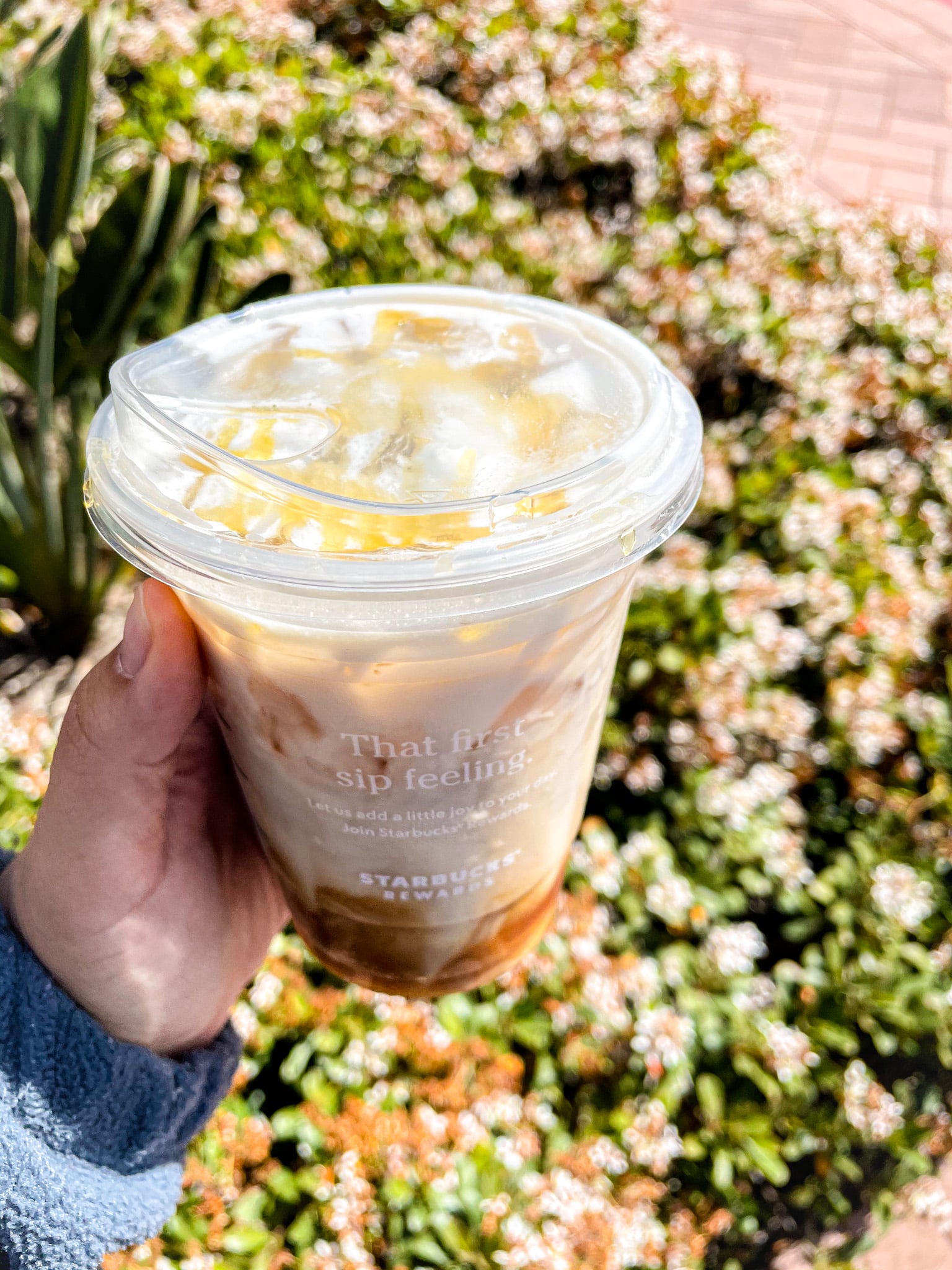 Starbucks S Secret Honey Bee Cold Brew Review Popsugar Food