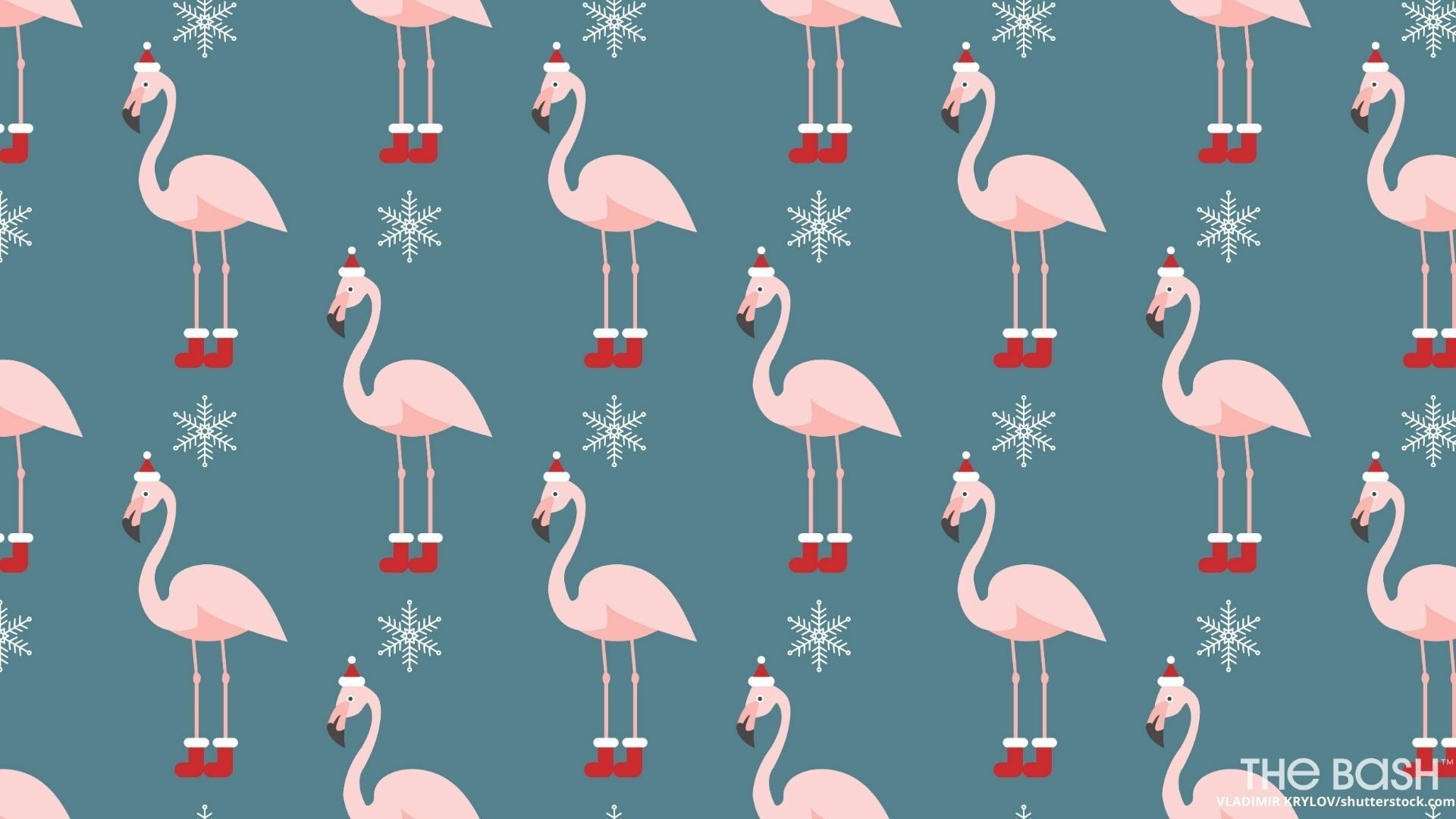 Download Funny Christmas Zoom Backgrounds Popsugar Tech All christmas background photos are available in jpg, ai, eps. funny christmas zoom backgrounds