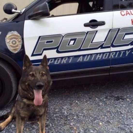 Funeral For Pittsburgh Police Dog