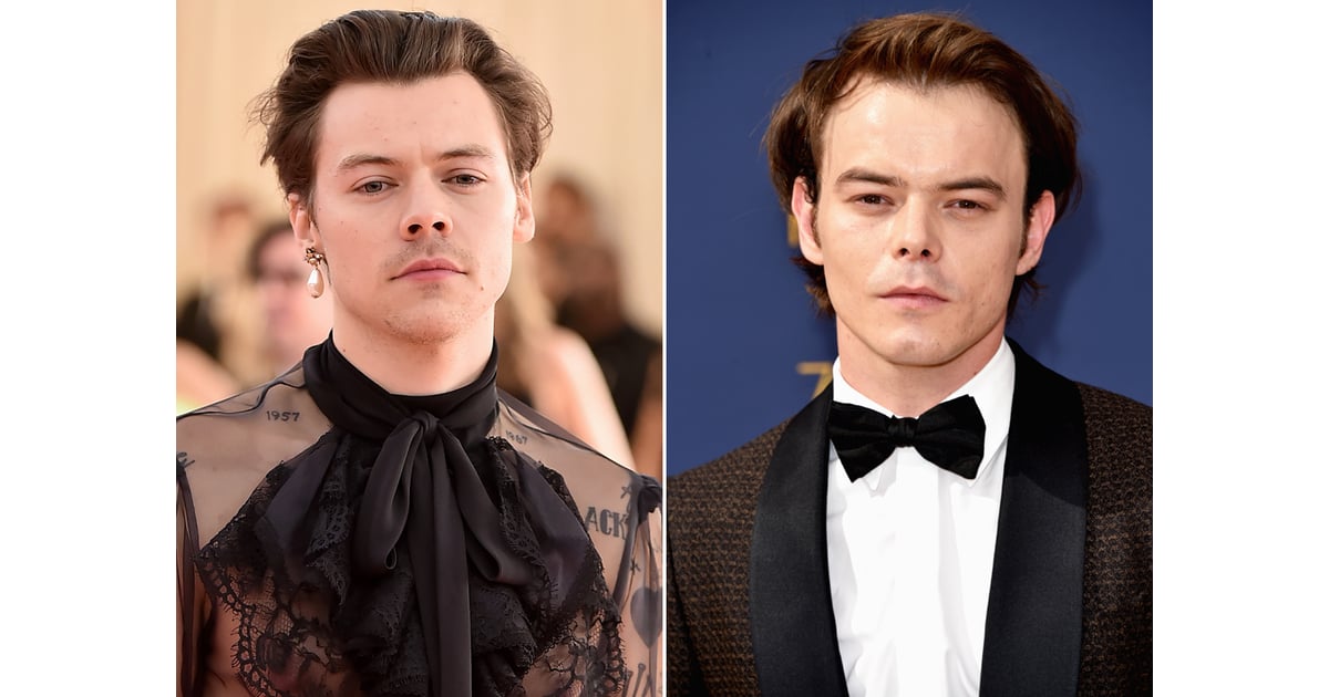 Harry Styles and Charlie Heaton | Celebrity Lookalikes | Celebrities