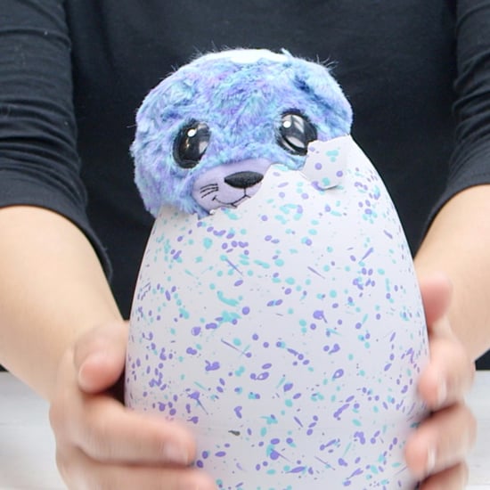 New Hatchimals
