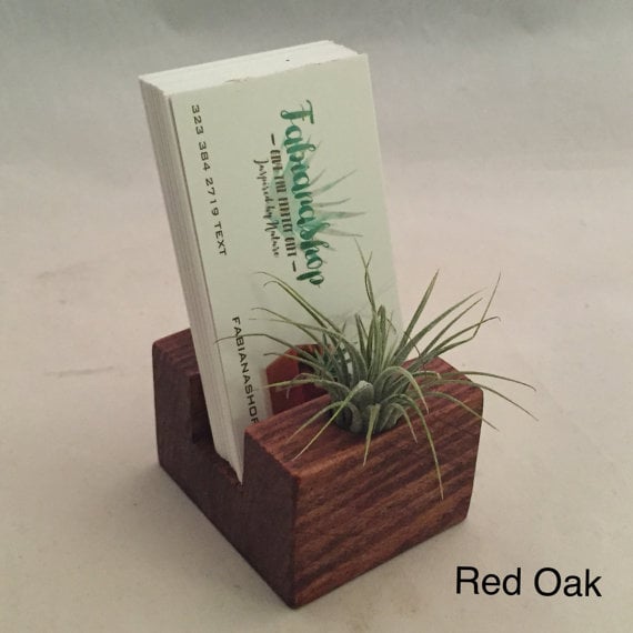 Business Card Holder With Air Plant ($15)
A sweet pop of green and earthy wood might be just the thing to refresh your desk this month.