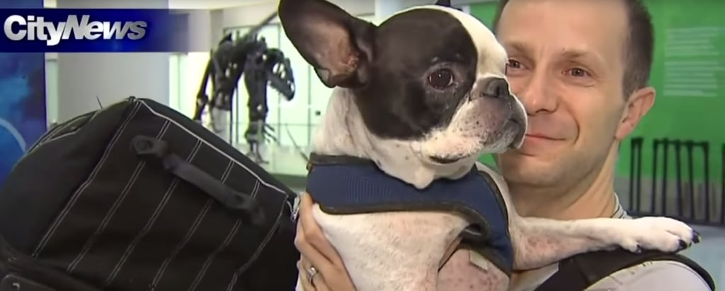 Air Canada Flight Rerouted to Save Dog