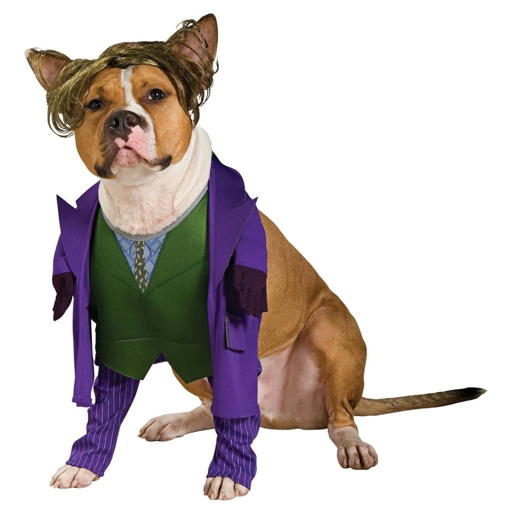 Joker Dog Costume