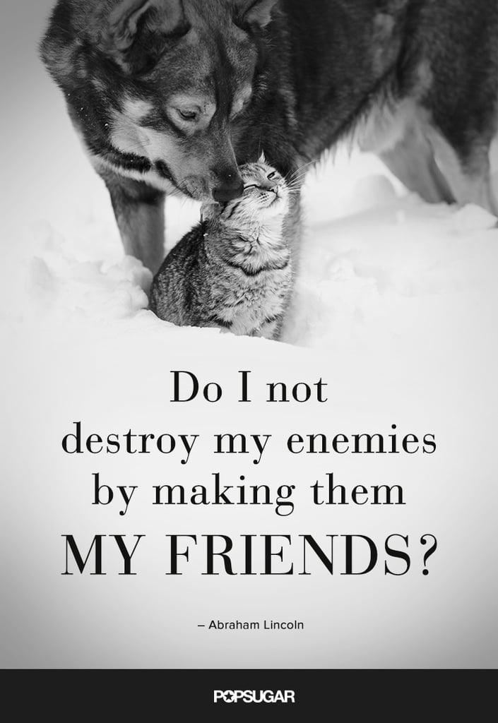 Befriend Your Enemies