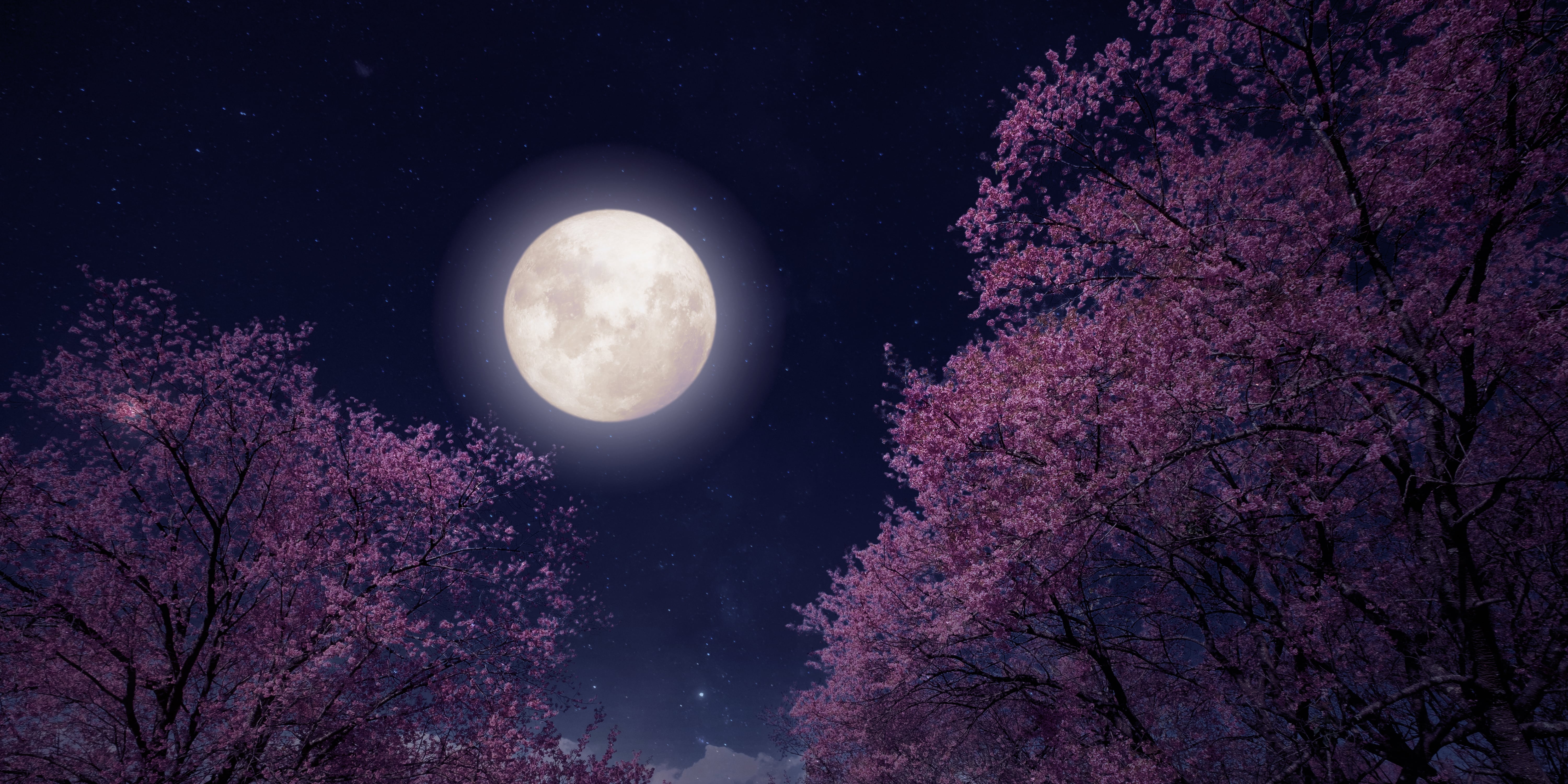 The Spiritual Meaning Behind May's Flower Moon, According to an Astrologer