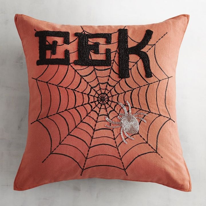 Pier 1 Imports Eek Spider Web Pillow