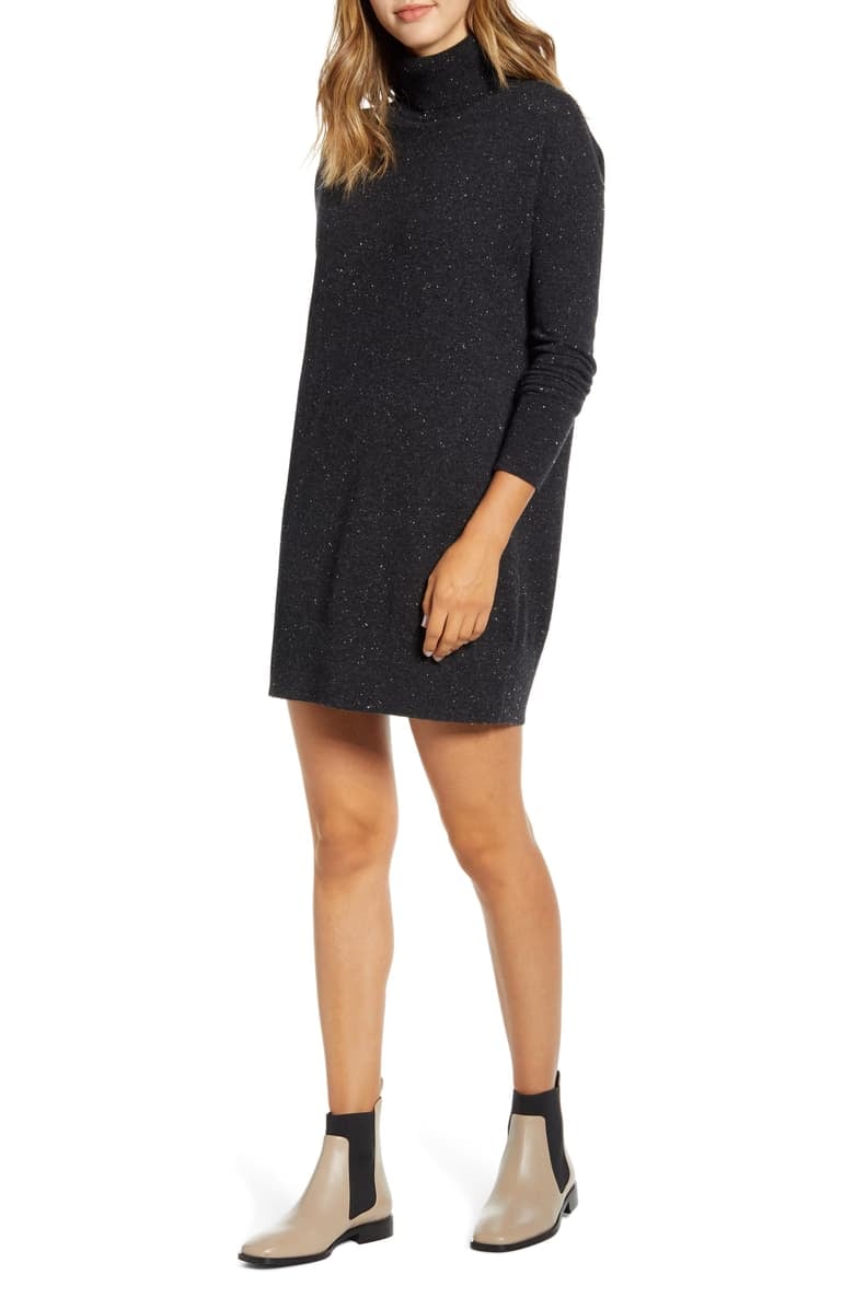 Everlane The Cashmere Turtleneck Sweater Dress