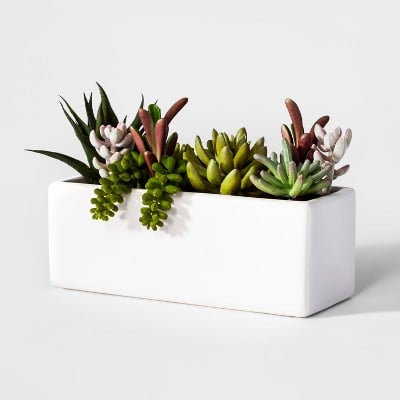Project 62 3.5" x 3.5" Artificial Succulents In White Pot