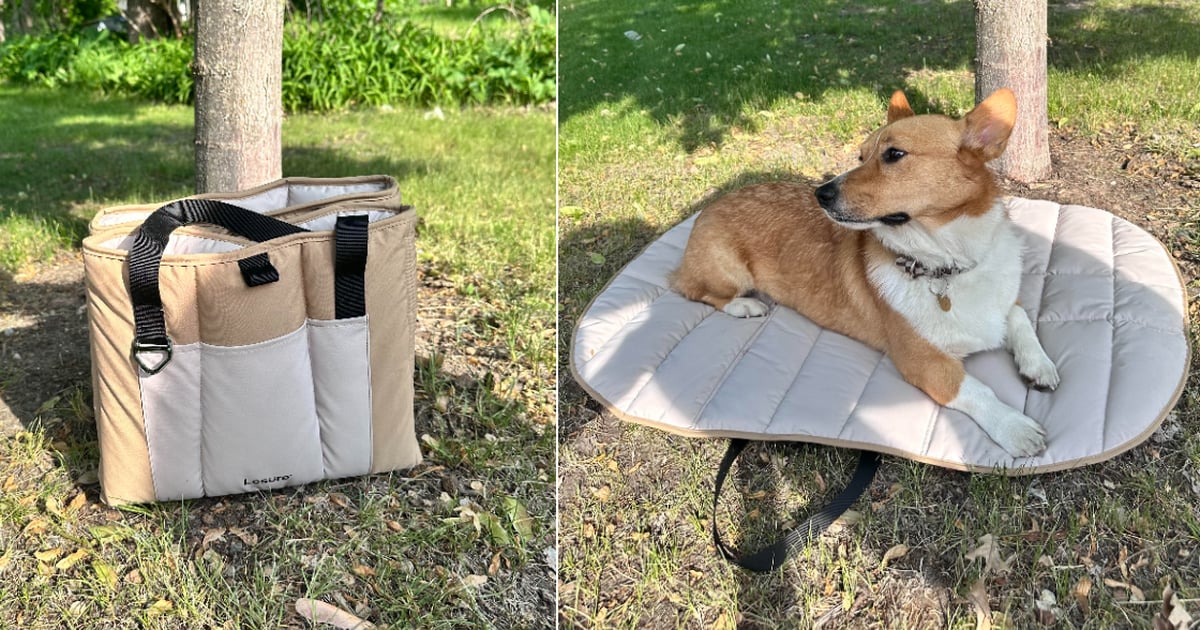 I Found the Chicest Travel Dog Bed For  — and It’s on Sale For Amazon Pet Day