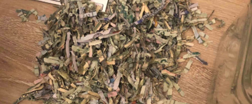 A 2-Year-Old Shredded More Than $1,000 in Cash, Because Toddlers Have Pledged to Take Us Down
