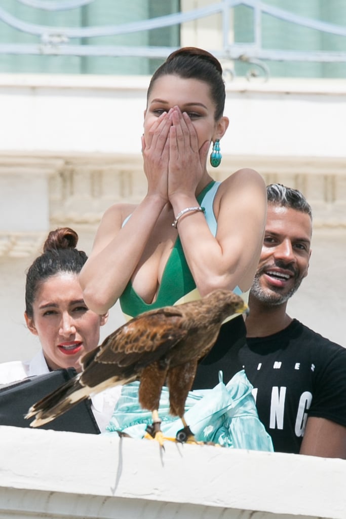 Pictured: Bella Hadid