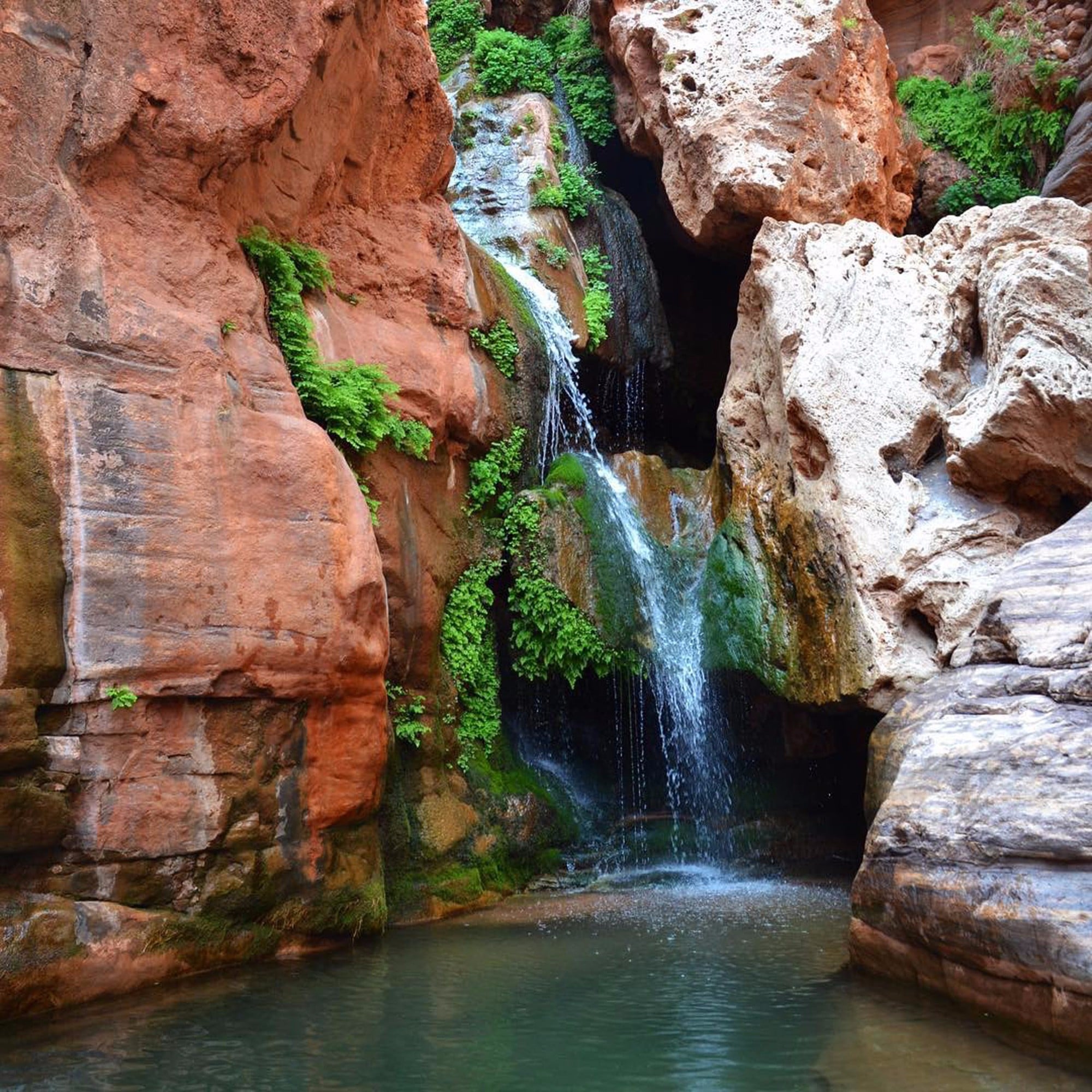 Elves Chasm Waterfall Grand Canyon | PS Smart Living