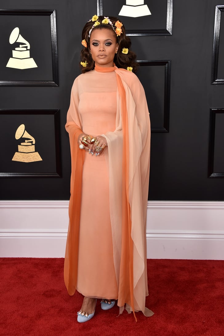 Andra Day Grammys Red Carpet Dresses 2017 POPSUGAR Fashion Photo 10