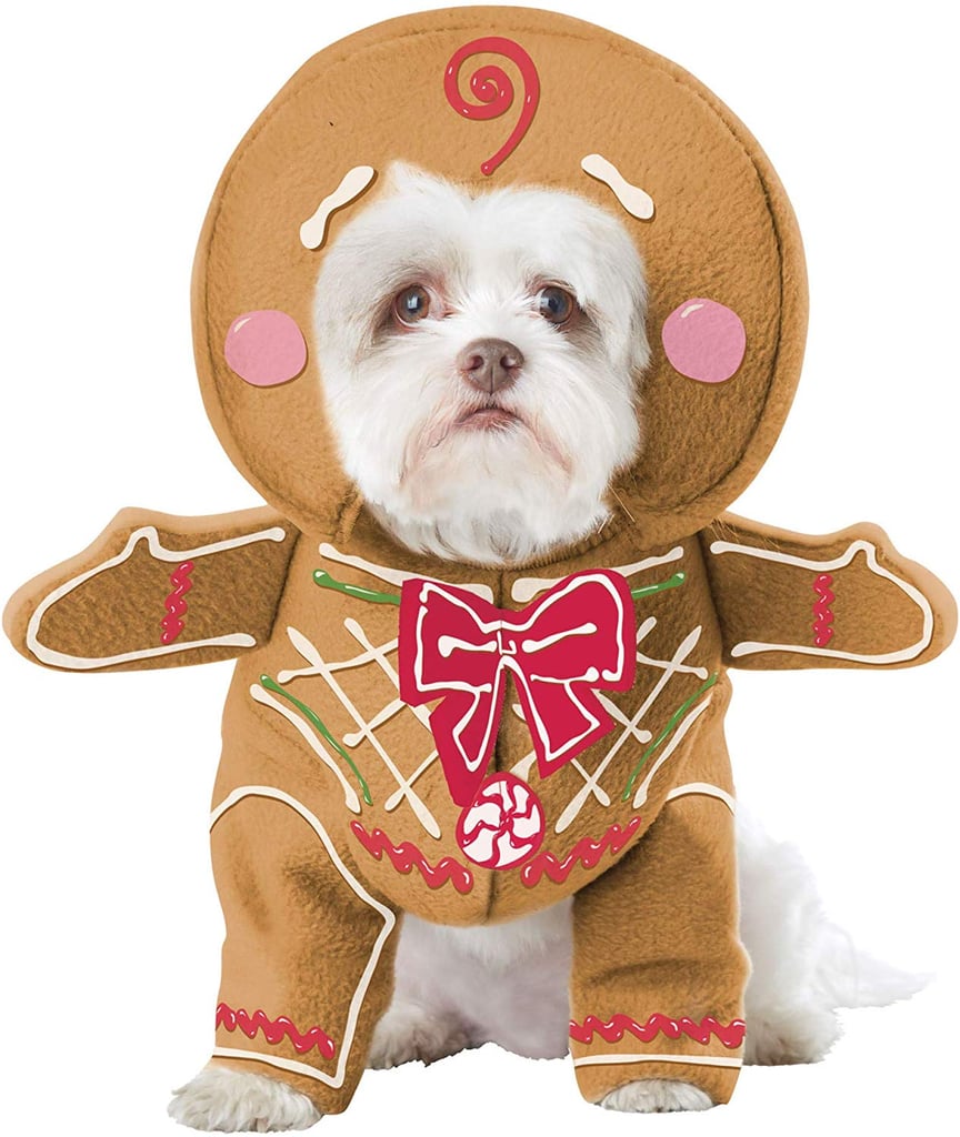 Gingerbread Pup Dog Costume