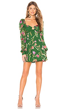 Lovers + Friends Marcella Mini Dress in Jade Floral