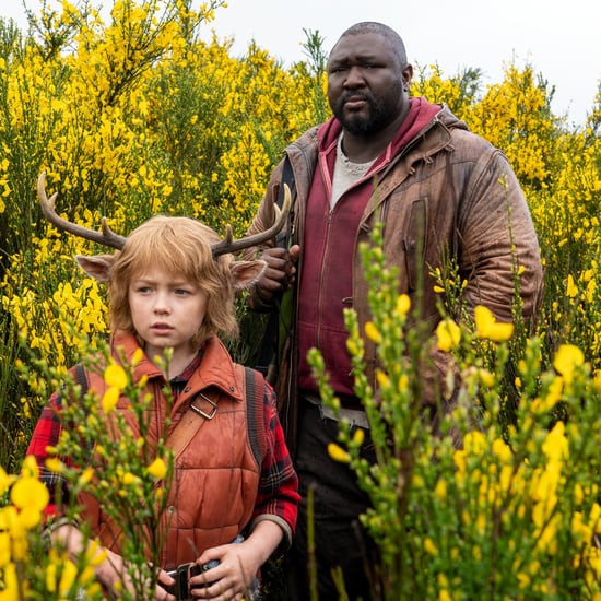 Sweet Tooth: Will There Be a Season 2 on Netflix?
