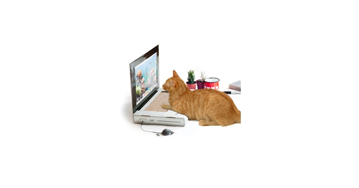 Suck UK Laptop Cat Scratching Pad Best Toys to Keep Cats and Kittens