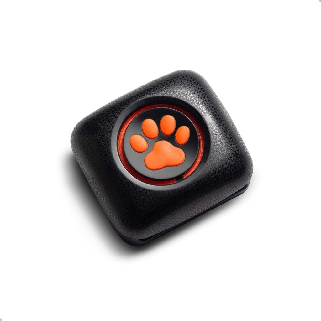 Pit pat tracker new arrivals