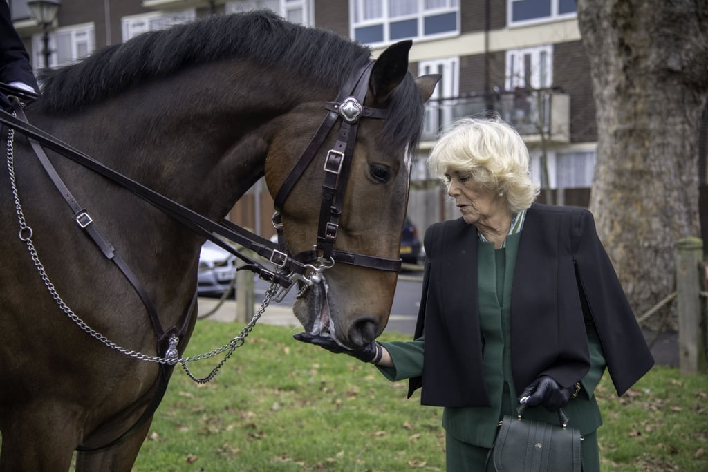 Camilla Parker Bowles Carries the Same Bag as Meghan Markle