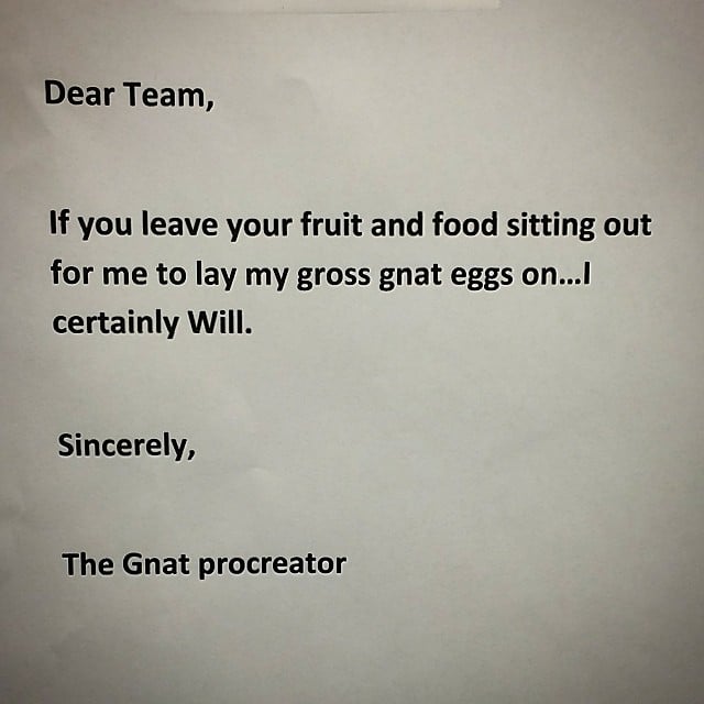 You Know Things Are Serious When the Gnat Procreator Leaves a Note