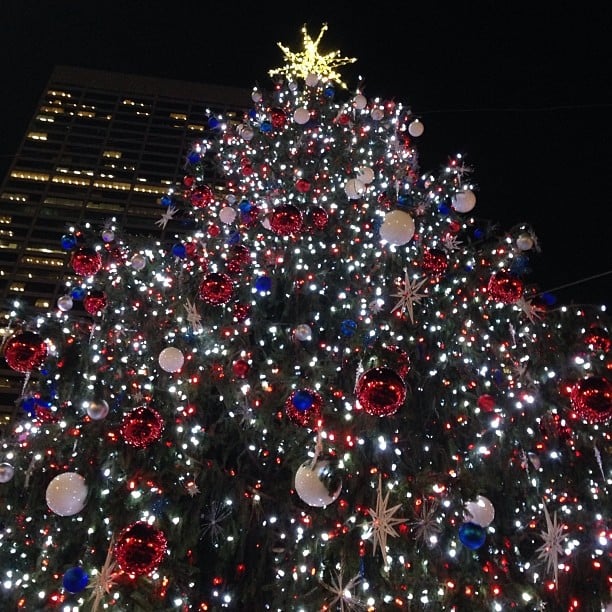 Attend a Christmas Tree Lighting