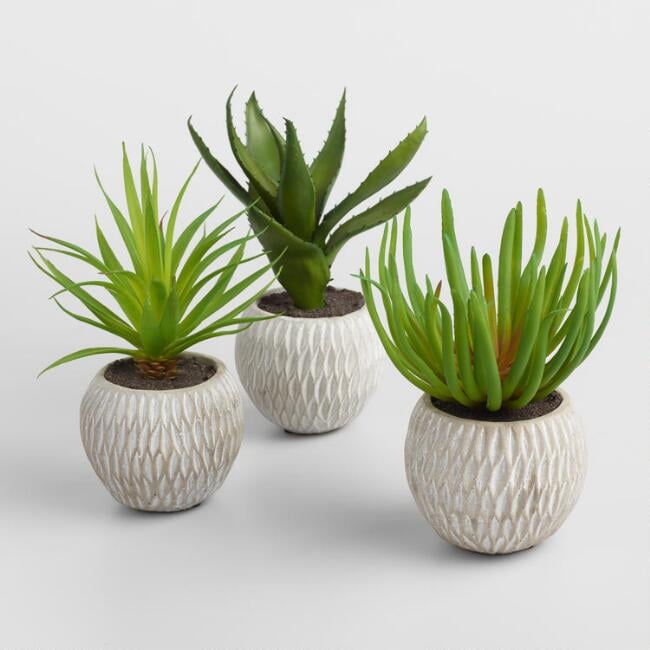 Faux Succulents in Etched Cement Pots