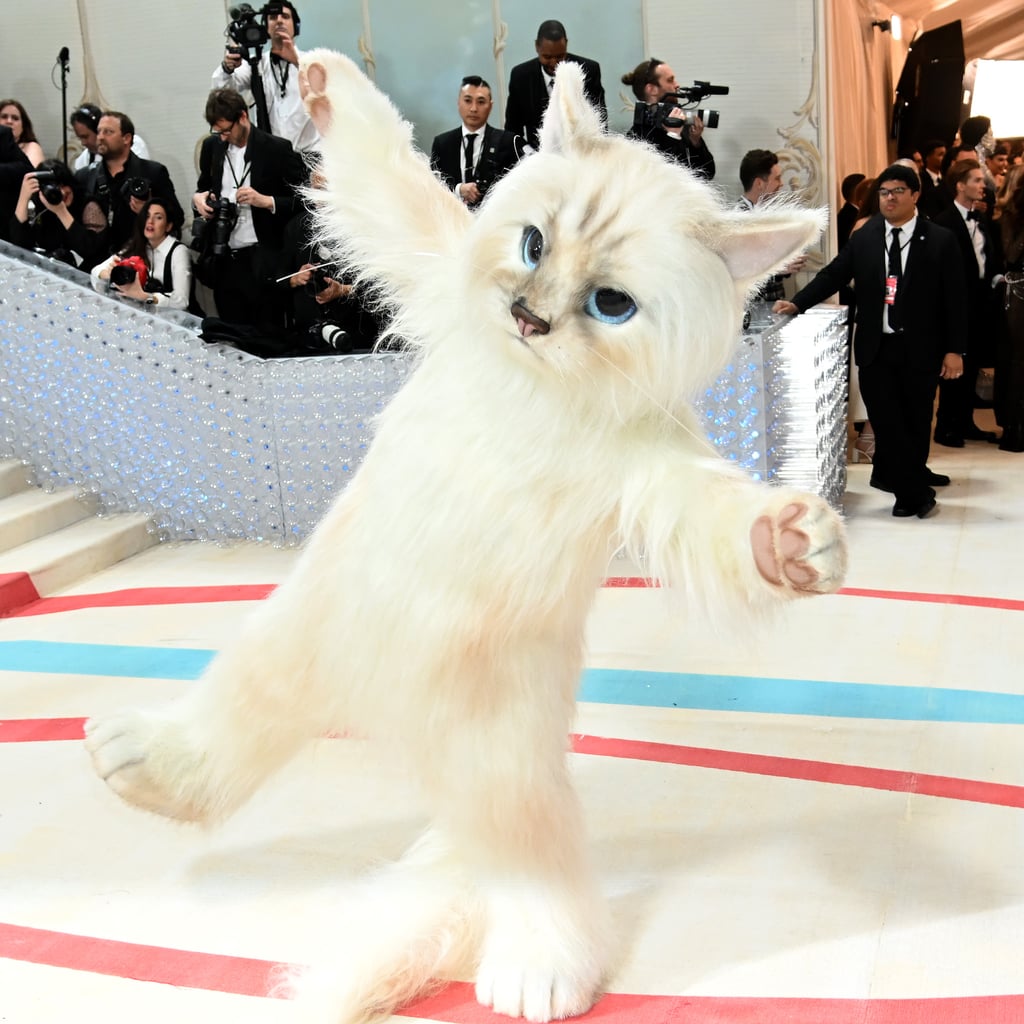 Jared Leto Shows Up to the Met Gala Dressed as a Giant Cat