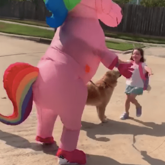 Video of Mom Dressed as Unicorn Meeting Daughter at Bus Stop